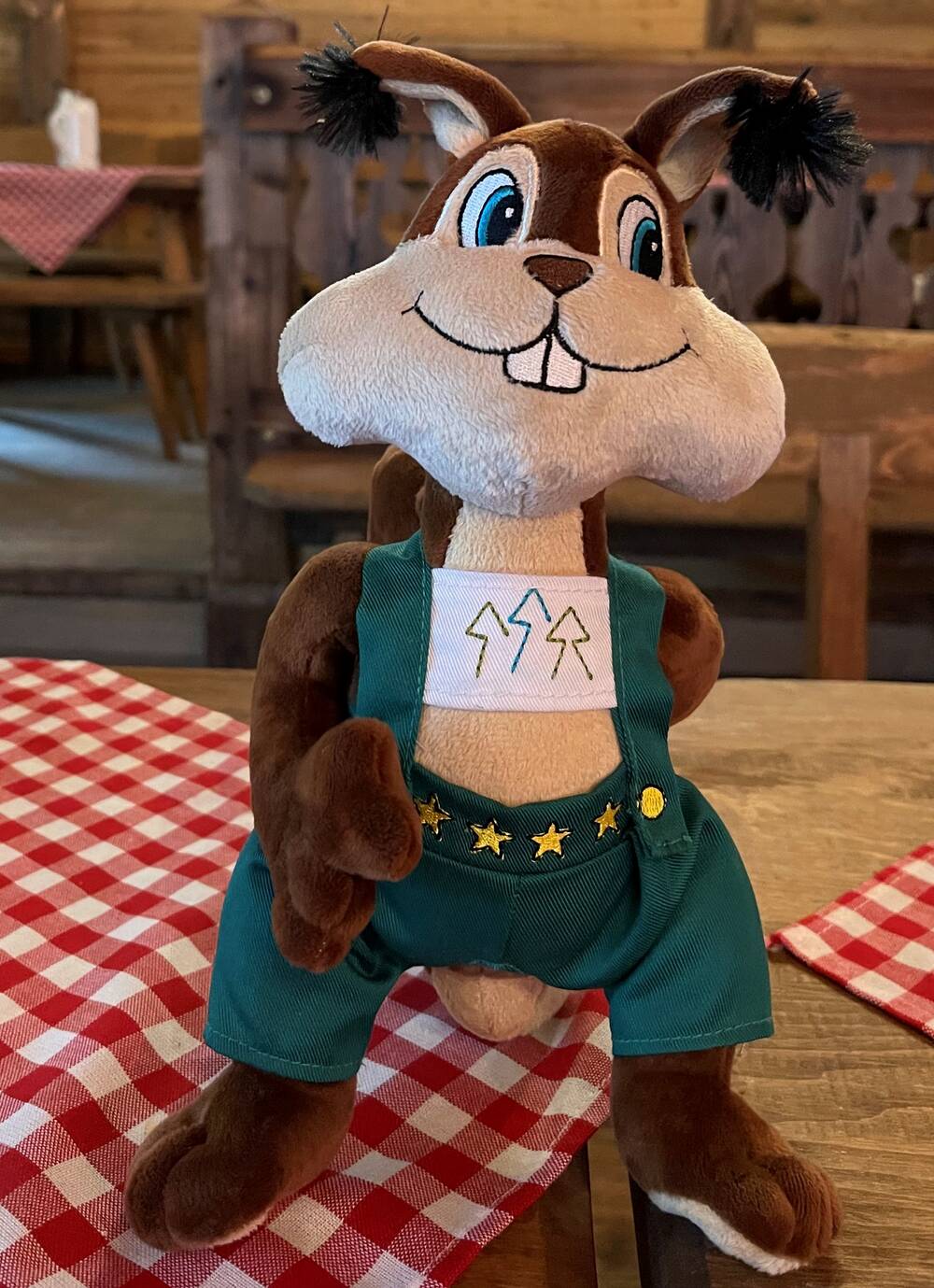 Unser Maskottchen "Pit"